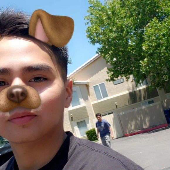 Meet your Posher, Tobey - Picture 1 of 1